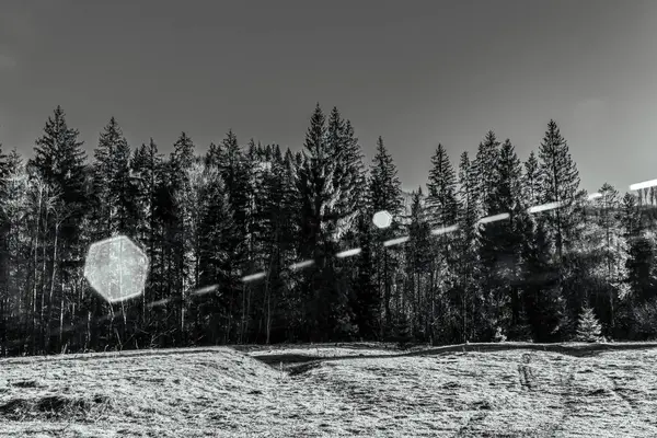 Karpat Dağları 'ndaki kış manzarası