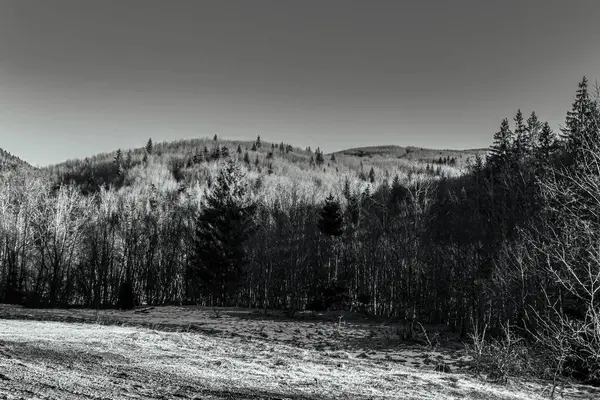 Güzel dağ manzarası. Doğa