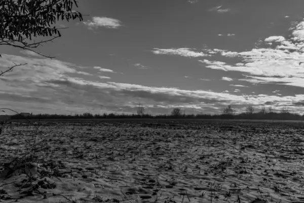 Bulutlu bir günde bir tarlanın gri tonlu görüntüsü
