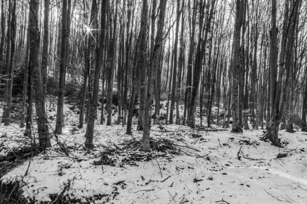 Doğal manzaranın güzel manzarası