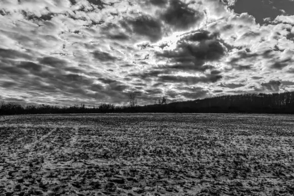 Bulutlu bir gökyüzü ile kar tarlasının siyah beyaz fotoğrafı