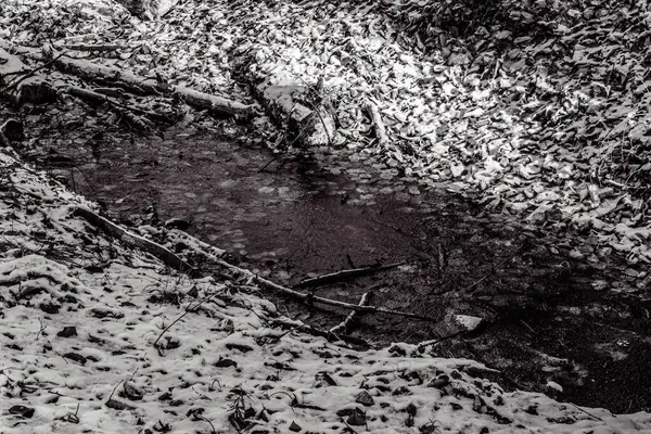 Ormanda güzel bir şelale