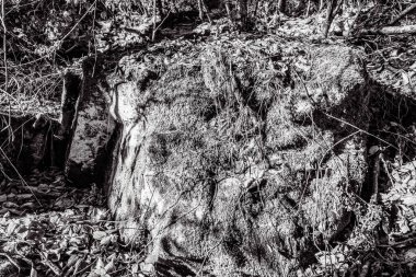 siyah ve beyaz desenli arkaplan