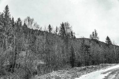 Dağlarda kış yolu