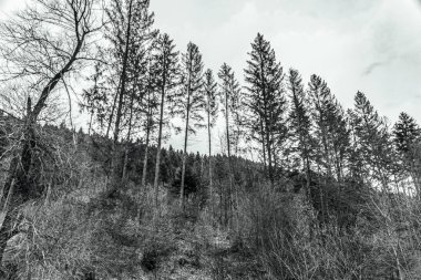 Dağlarda dağları olan güzel bir manzara.