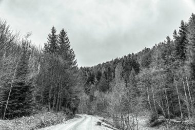 Karpat Dağları'nın güzel kış manzarası.