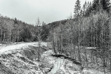 Karla kaplı ağaçlarla kaplı güzel kış manzarası