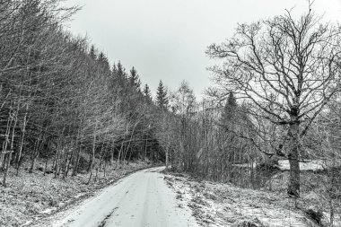 Kış ormanında yol