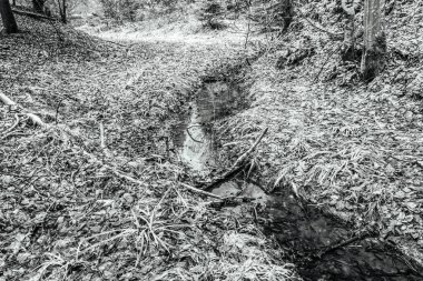 Dağların güzel manzarası