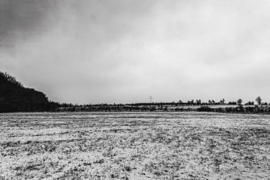 Karla kaplı ağaçlarla kaplı kış manzarası