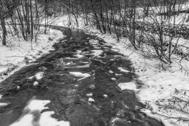 Ormandaki kış manzarası. Parkta karla kaplı ağaçlar ve karlar.