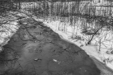 Nehir kış ormanında