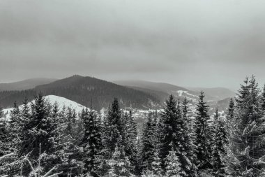 Kışın güzel dağ manzarası