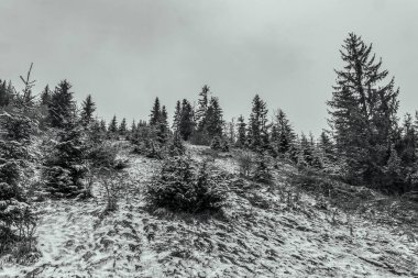 Karpat Dağlarının kış manzarası