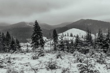 Dağlarda kış manzarası