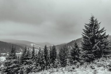 Karpat Dağları 'ndaki kış manzarası