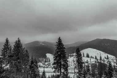 Kış manzarası. Ağaçlar kar kaplı