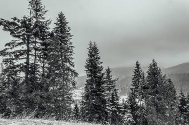 Karpatlar kış manzarası.