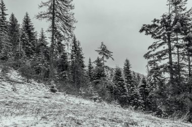 Dağlardaki güzel kış manzarası