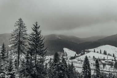 Kar ve ağaçlarla dolu güzel kış manzarası