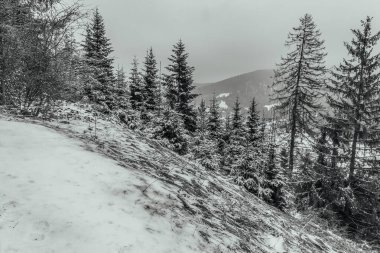 Güzel kar manzarası - dağlarla kaplı