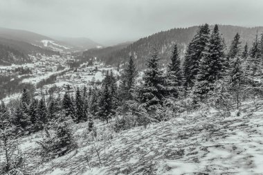 Ukrayna 'nın güzel dağ manzarası
