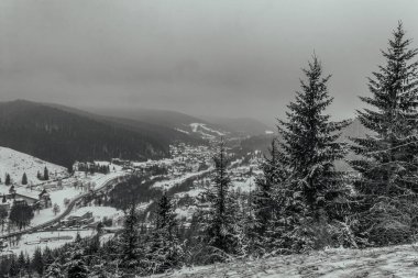 Kar ve köknar ağaçlarıyla kaplı kış manzarası