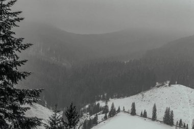 Bir dağ manzarasının güzel bir görüntüsü