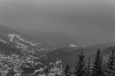 Karpat ormanında kış dağları