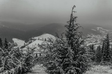 Karpat Dağları. Kış manzarası. Karla kaplı orman. siyah ve beyaz