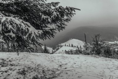 Karpat Dağları 'ndaki kış manzarası, Ukrayna