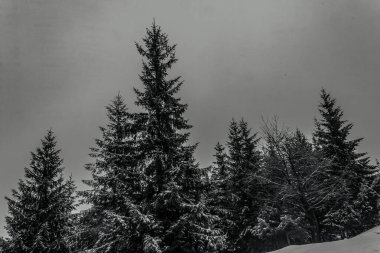 Kış karı - tepeli dağ manzarası