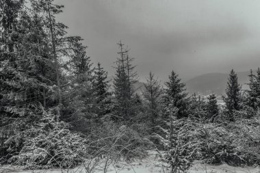 Güzel karlı kış dağları manzarası