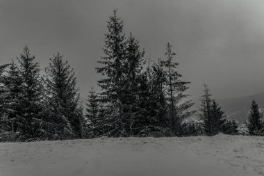 Dağların güzel manzarası