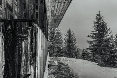 bir orman içinde ahşap çit