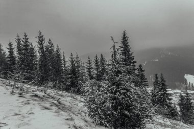 Dağların güzel manzarası