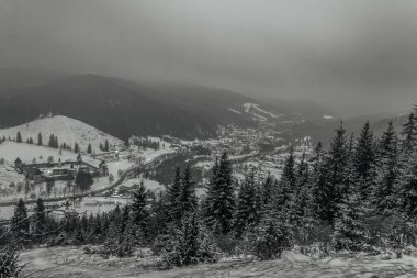 Kar ve ağaçlarla dolu güzel kış manzarası