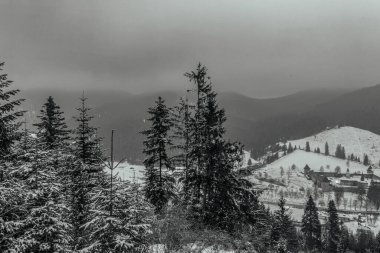 Karpatların kış manzarası.