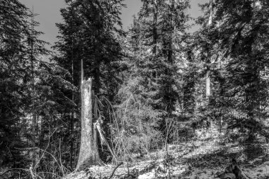 Dağlar ve karla kaplı güzel bir manzara.