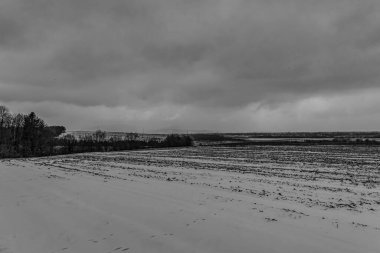 Kışın bir tarlanın gri tonlu görüntüsü.