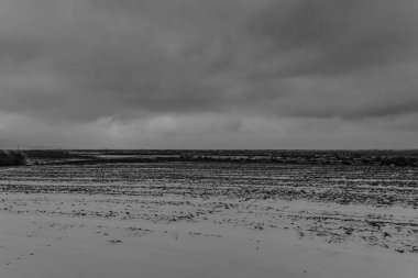 Kar ve ağaçlarla kaplı kış manzarası