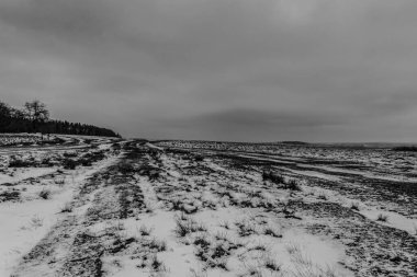 Kış ormanında yol