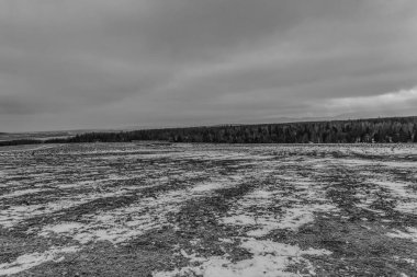 Karlı bir tarlanın gri tonlu görüntüsü.