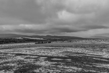 Karla kaplı ağaçlarla kaplı güzel kış manzarası