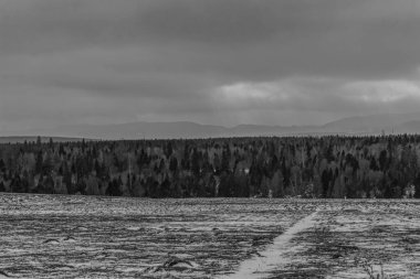 Karlı bir alanın dikey görüntüsü