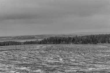 bir dağ yolunun siyah beyaz fotoğrafı