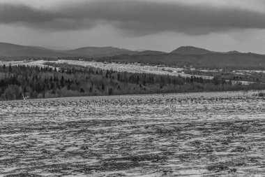 Karpatların kış manzarası.