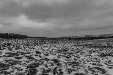 Karla kaplı ağaçlarla kaplı kış manzarası