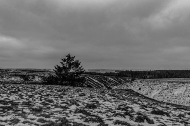 Köyde karla kaplı bir arazide kış manzarası