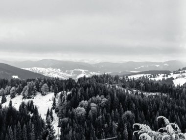 Dağ manzarasının siyah beyaz fotoğrafı